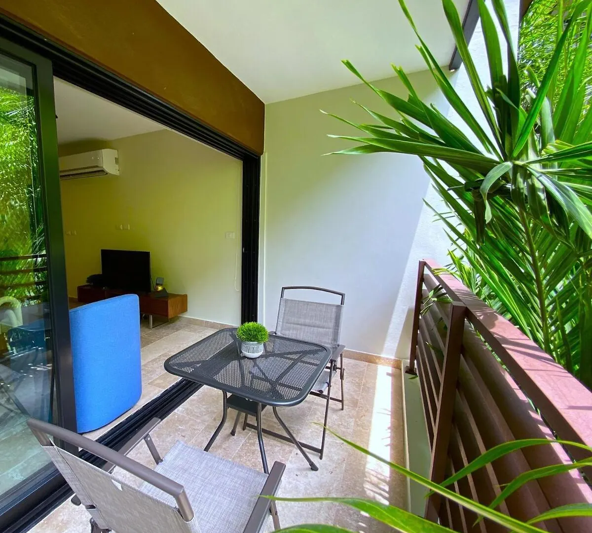 Seaview Roof Pool, Gym Onsite, 4 Blocks To 5Th Ave Apartment Playa del Carmen 0*,  Mexico