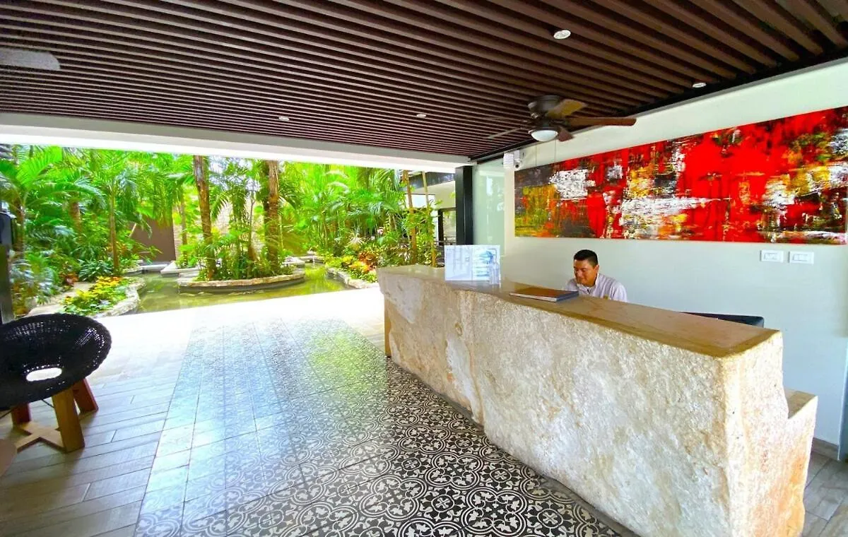 Seaview Roof Pool, Gym Onsite, 4 Blocks To 5Th Ave Apartment Playa del Carmen